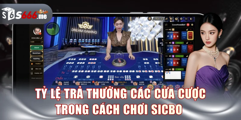 Tỷ lệ trả thưởng các cửa cược trong cách chơi sicbo 
